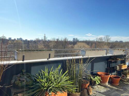 Foto - Helle 3-Zi 91m² DG-Whg Terrasse Blick Tiergarten provisionsfrei
