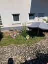Foto - 2 Zimmer Mehrfamilienhaus, Wohnhaus zum Kaufen in Hargesheim