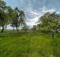 Uckermark - Baugrundstück in Angermünde