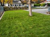 Foto - andere in Springe zur Miete