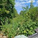 Foto - Grundstück zur Miete in Kleinmaischeid
