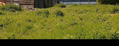 Foto - Grundstück in Oberhausen