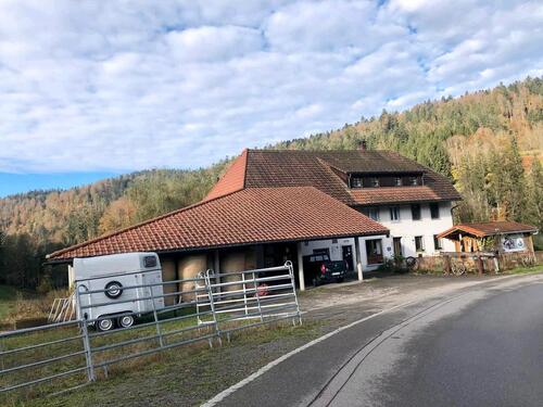 Foto - Bauernhof ideal für Pferdehaltung