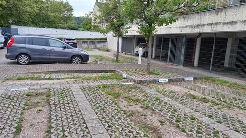 Foto - andere in Bad Bergzabern