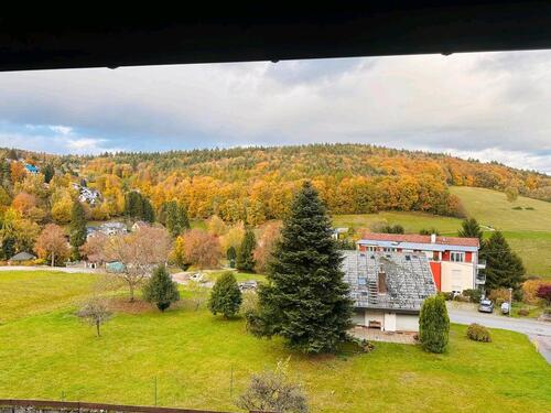 Foto - Wohnung in Wilhelmsfeld - 480,00 EUR Kaltmiete,