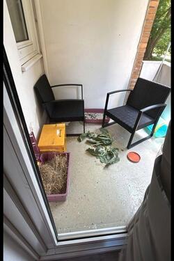 Foto - Etagenwohnung zur Miete in Braunschweig