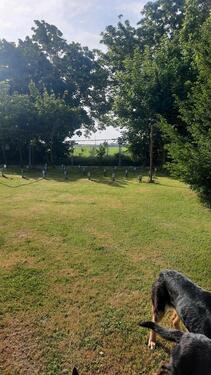 Foto - Einfamilienhaus in Jüterbog zur Miete