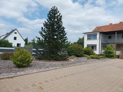 Foto - Einfamilienhaus in Rülzheim zum Kaufen