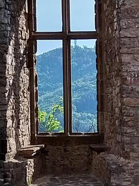 Foto - Zimmer zur individuellen Nutzung, keine WGWHG !