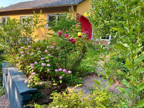 Foto - 6 Zimmer Einfamilienhaus in Rehlingen-Siersburg