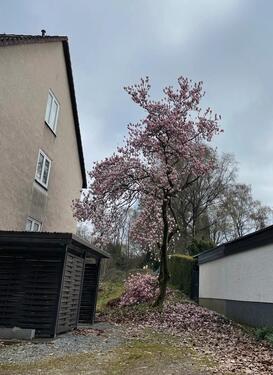 Foto - Mehrfamilienhaus, Wohnhaus zum Kaufen in Bochum