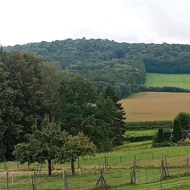 Foto - Einfamilienhaus zu vermieten - 750,00 EUR Kaltmiete,
