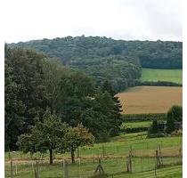 Einfamilienhaus zu vermieten - 750,00 EUR Kaltmiete, in Markersdorf (PLZ: 02829)