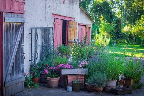 Foto - Bauernhaus, Landhaus zum Kaufen in Preußisch Oldendorf