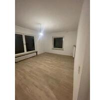 Neu Renovierte 3 Zimmer Wohnung - Höchberg