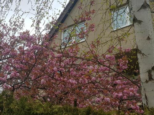 Foto - 3 Zimmer Maisonettenwohnung in Berlin