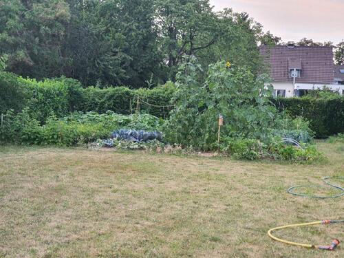 Foto - Grundstück zur Miete in Bergisch Gladbach