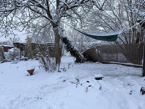 Foto - 4 Zimmer Einfamilienhaus in Walsrode
