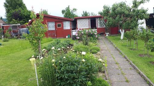 Foto - Kleingarten in Northeim Am Sollingtor