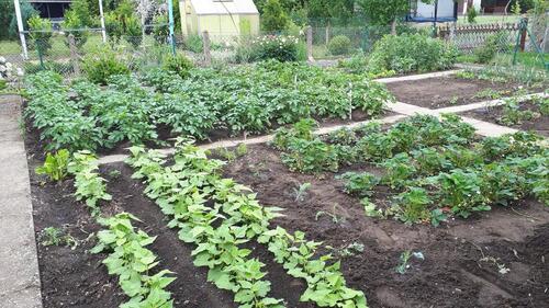Foto - Grundst&uuml;ck in Northeim zur Miete