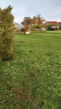 Foto - Grundst&uuml;ck in Landau in der Pfalz