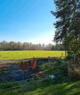 Foto - Grundst&uuml;ck zur Miete in Oldenburg