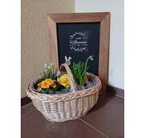 Ferienwohnung, Monteurwohnung in Pößneck