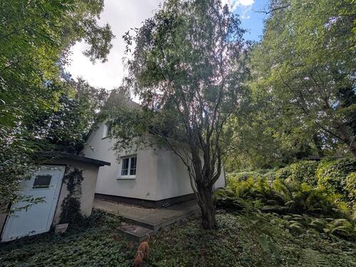 Foto - 4 Zimmer Einfamilienhaus in Berlin
