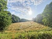 Foto - Grundstück zur Miete in Mandelbachtal