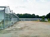 Foto - Gartenanbaufläche zu verpachten mit Gewächshaus ( 3000 m² )