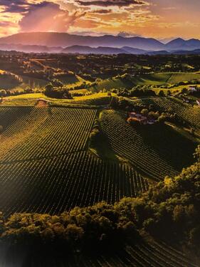 Foto - hochwertiges EFH mit ELW in Alsheim zu verkaufen