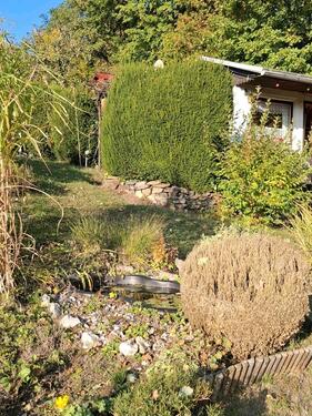 Foto - Grundst&uuml;ck zur Miete in Zschopau