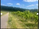 Foto - Grundst&uuml;ck zur Miete in Steinheim an der Murr