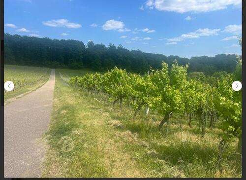 Foto - Grundst&uuml;ck zur Miete in Steinheim an der Murr