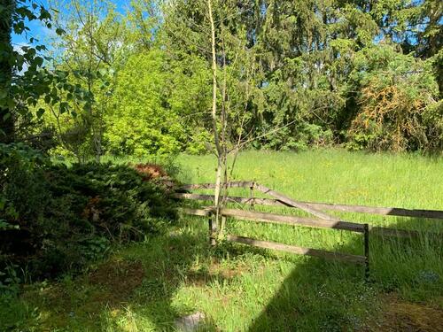 Foto - Einfamilienhaus in Neustadt an der Orla zum Kaufen