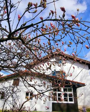 Foto - Solides Haus in Frasdorf mit großem Potenzial für Macher-Familien