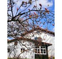 Solides Haus in Frasdorf mit großem Potenzial für Macher-Familien