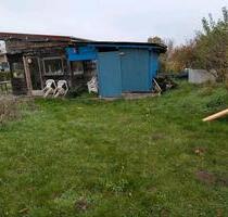 Kleingarten abzugeben - 600,00 EUR Kaltmiete, ca.  0,00 m² in Wolfenbüttel (PLZ: 38302) Ahlum