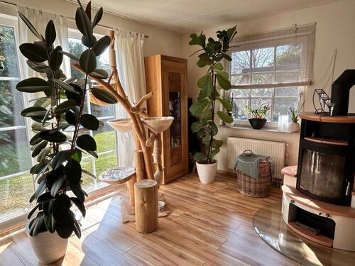 Foto - Einfamilienhaus in Berlin zum Kaufen