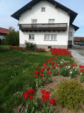 Foto - Einfamilienhaus - 315.000,00&nbsp;EUR Kaufpreis, ca.&nbsp; 166,00&nbsp;m&sup2;