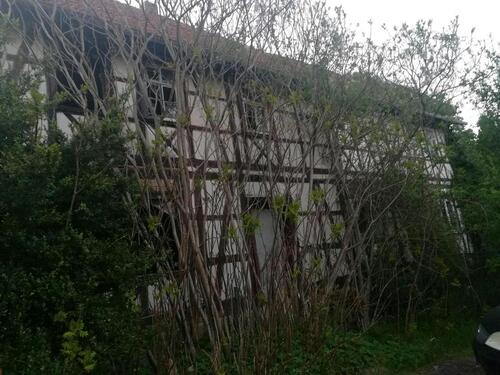 Foto - Laendliches Anwesen, Grundst2320 m2 Fachwerkhaus u. Fachwerkhalle