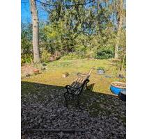 2 Zimmer Wohnung - 600,00&nbsp;EUR Kaltmiete, ca.&nbsp; 50,00&nbsp;m&sup2; in Hatten (PLZ: 26209)