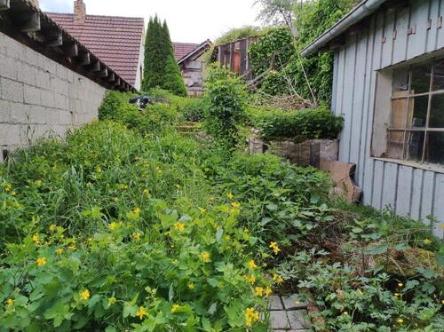 Foto - Einfamilienhaus in Hammelburg zum Kaufen