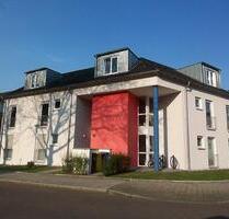 Bei VIVAWEST die Sonnenstrahlen auf der eigenen Terrasse genießen. - Essen Stadtbezirk II