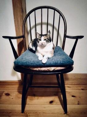 Foto - Wg Zimmer Berge Chiemgau Achental