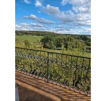 Haus mit Weitblick & großem Grundstück – viel Potenzial - Weinbach