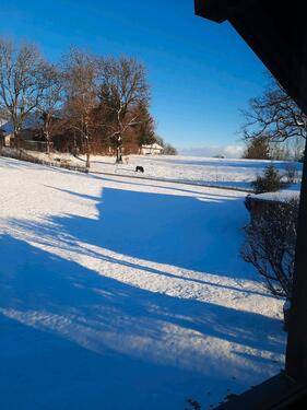 Foto - Wohnung ( Dachgeschoss) - 600,00&nbsp;EUR Kaltmiete, ca.&nbsp; 60,00&nbsp;m&sup2;