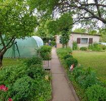 Garten abzugeben im Kleingartenverein Heiligenthal – Gartenfreude - Gerbstedt Garten abzugeben im Kleingartenverein Heiligenthal – Gartenfreude - Gerbstedt