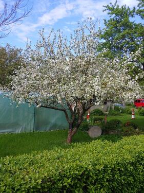 Foto - Grundst&uuml;ck in Gerbstedt zur Miete