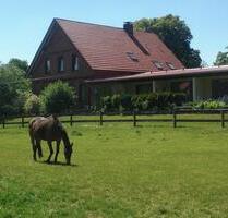 1,5 Zimmer-Wohnung an weibliche Person - Altenmedingen